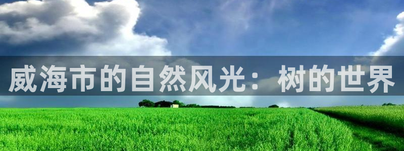 新宝gg   创造奇迹