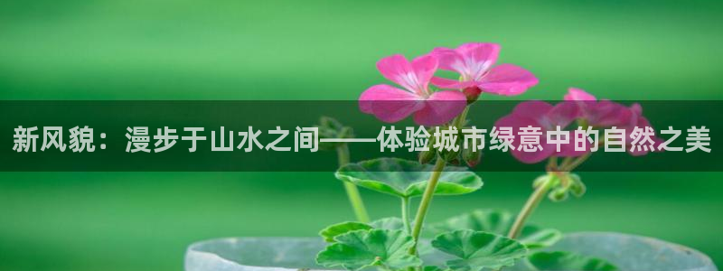 新宝gg彩票