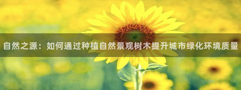 新宝gg平台gg登录gg网址