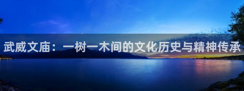 新宝gg登录