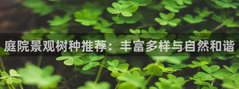 宝GG账78778新宝GG俪78778