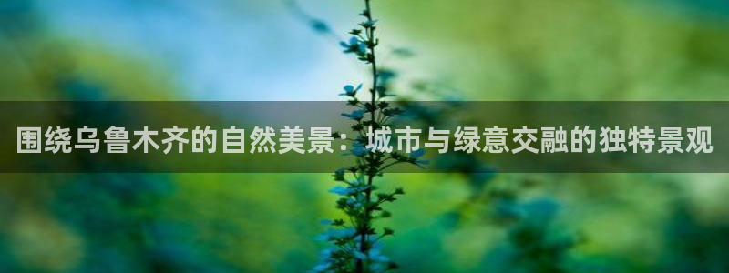 新宝gg反水