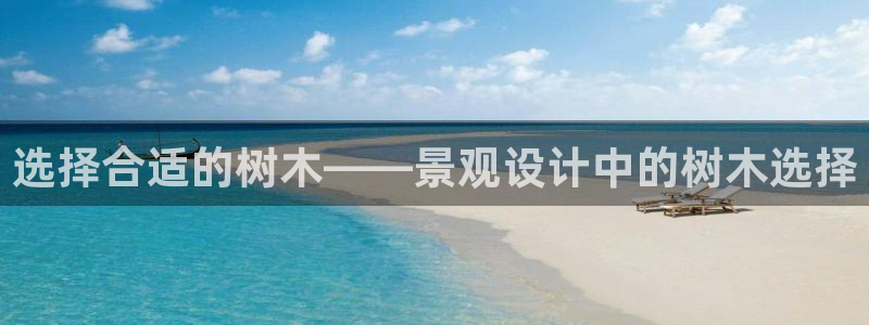 新宝gg真的能赚钱么