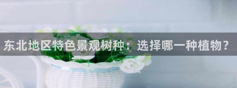 新宝GG电话