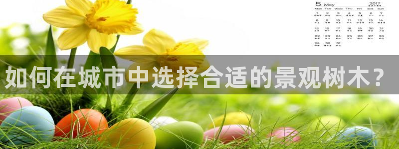 新宝gg挂机软件下载