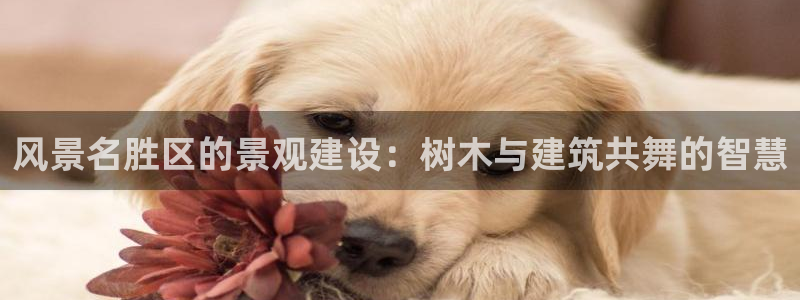 新宝GG于六七五一38