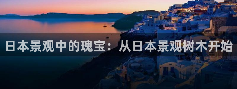 新宝gg—创造