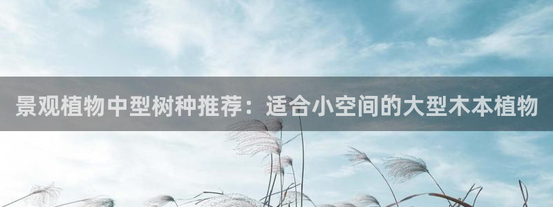 新宝gg娱乐客户端下载