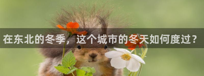 新宝gg申请账号