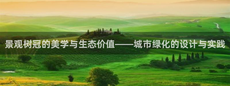 新宝gg   创造奇迹