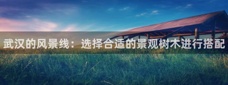 新宝gg首页平台