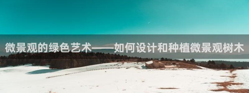 新宝gg主管_