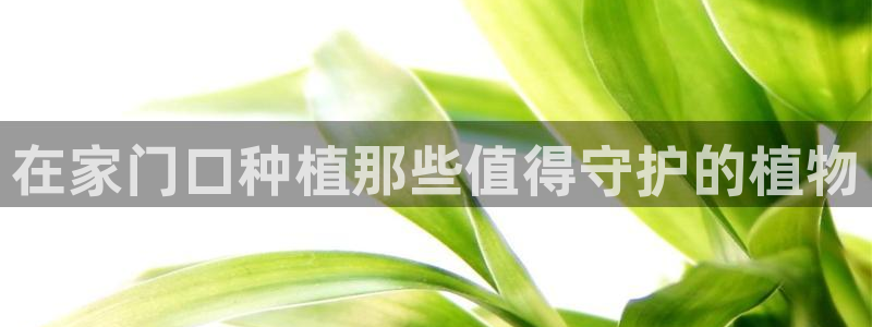 新宝gg创造奇迹下载