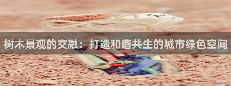 新宝GG股东