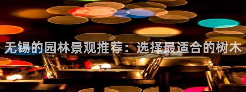 创造奇迹 新宝gg