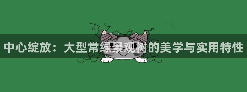 新宝 5 gg