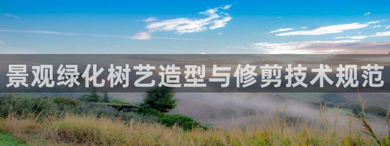 新宝gg有规律么