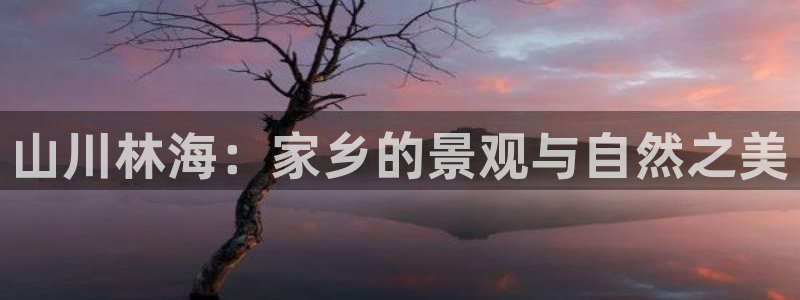 新宝gg计划