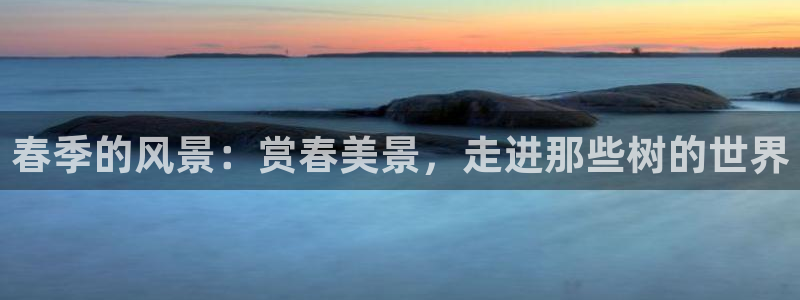 新宝GG网址新宝2