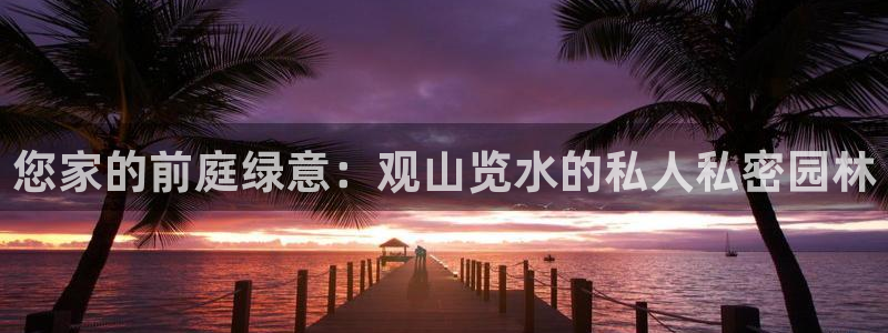 新宝gg如何代理