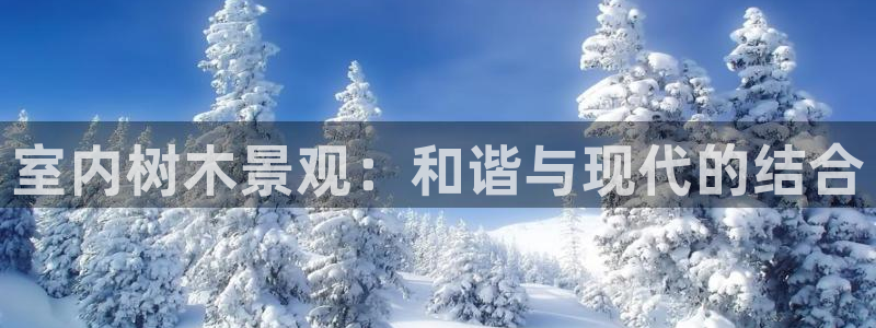 新宝gg平台首页