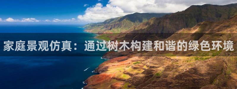 新宝一gg测速