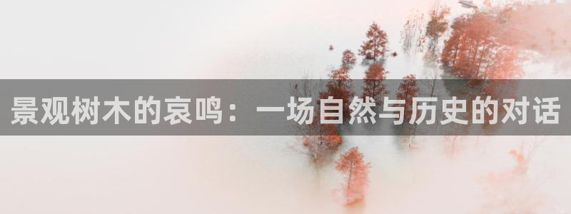 新宝gg   创造奇迹