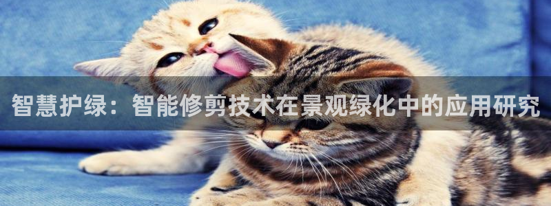 新宝gg套利