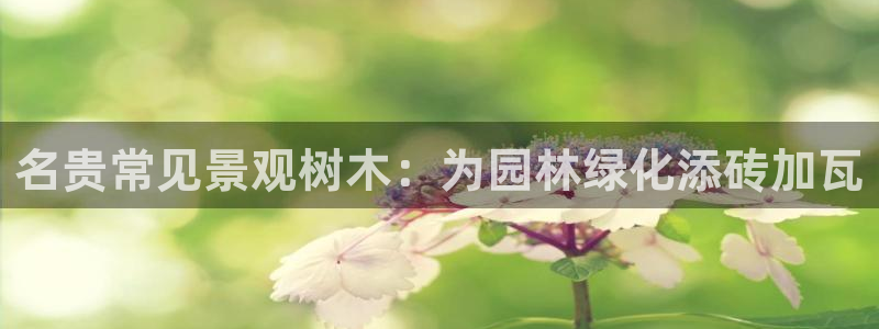 新宝gg网址