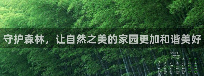新宝GG的老板：守护森林，让自然之美的家园更加和谐美好