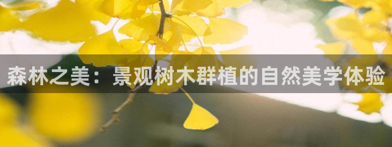 新宝gg如何做到总代理