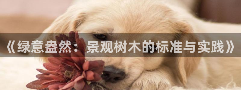 新宝gg地址新宝二