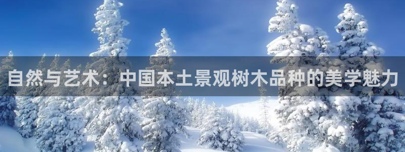 新宝gg重