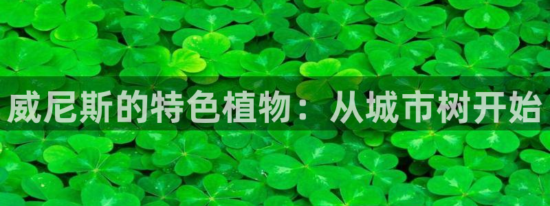 新宝 gg .com