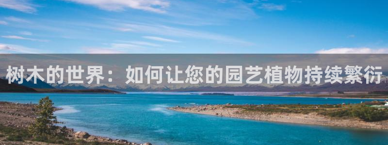 百度新宝gg
