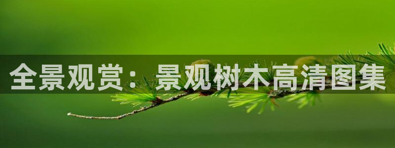 新宝gg试玩