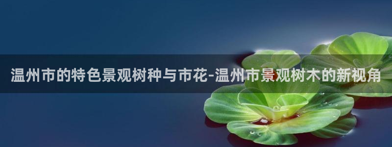 新宝奇迹GG5