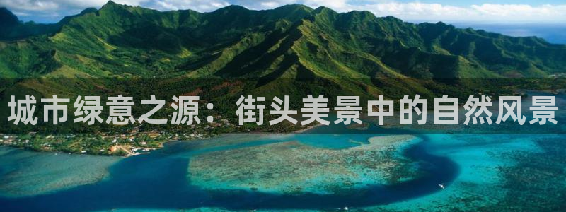 新宝gg是什么