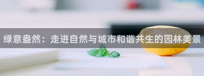新宝gg专线