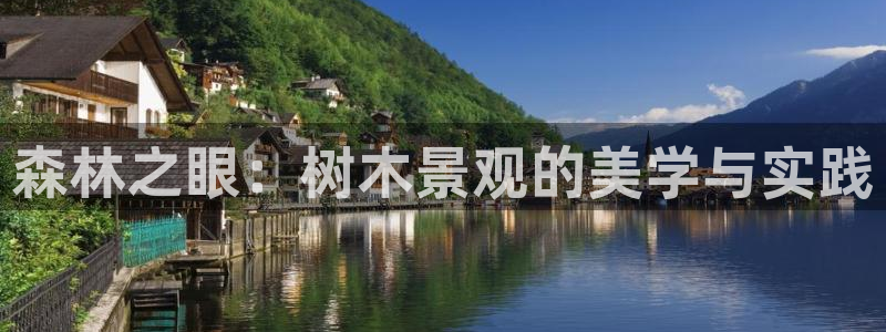 怎么代理新宝gg