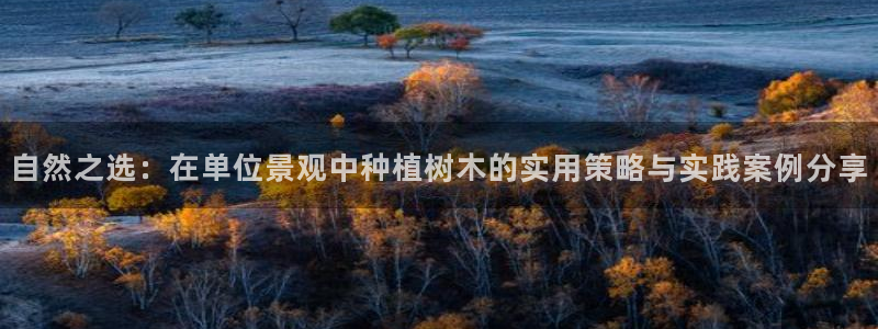 新宝gg注册新宝GG注册登录：自然之选：在单位景观中种植树木的实用策略与实践案例分享