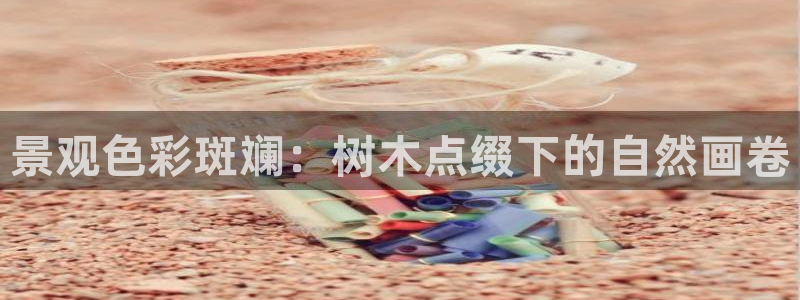 【新宝gg】