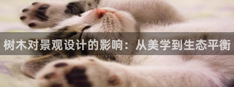 新宝 gg .com