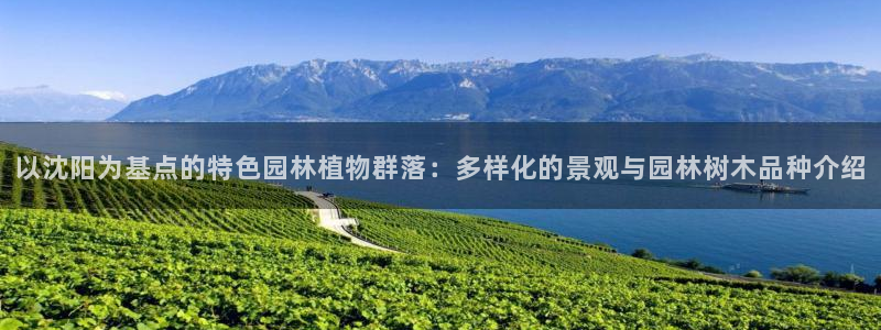 新宝gg时时彩