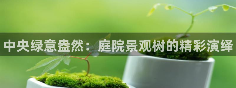 新宝GG娱乐-上皇巢网