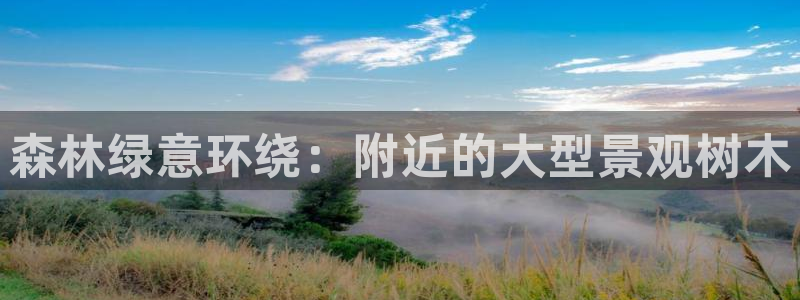 新宝gg怎么开户