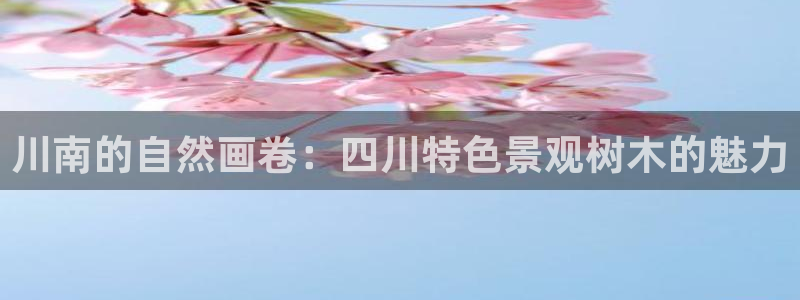 新gg宝