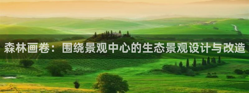 新宝GG都有哪些计划