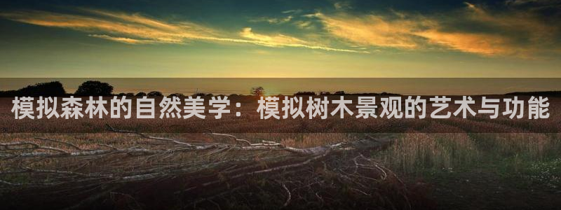 新宝gg主管都是谁