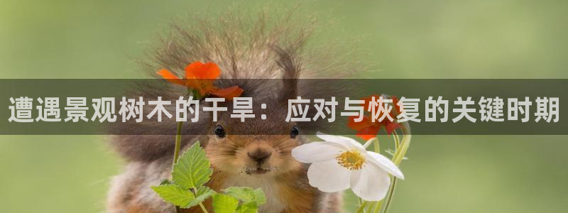 新宝gg如何赚钱